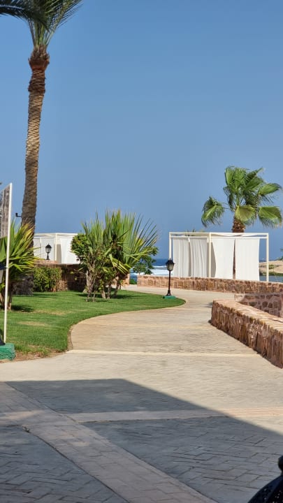 Gartenanlage Steigenberger Coraya Beach - Adults only