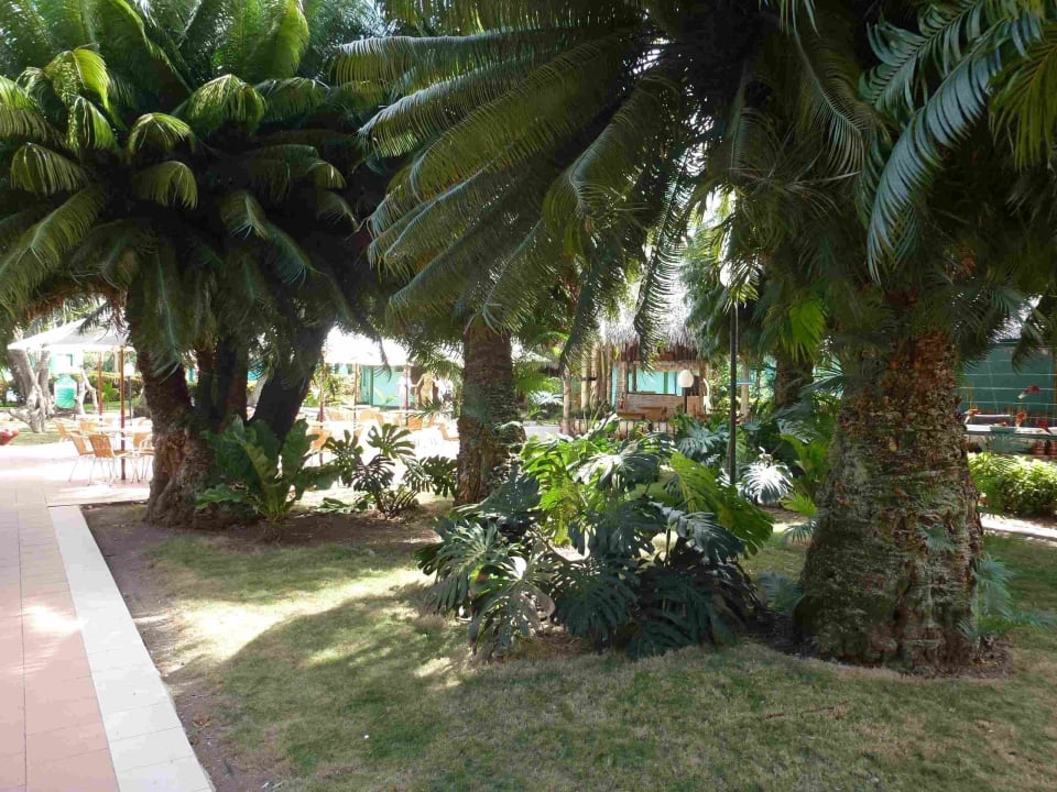 Santa Clara Hotel Los Caneyes