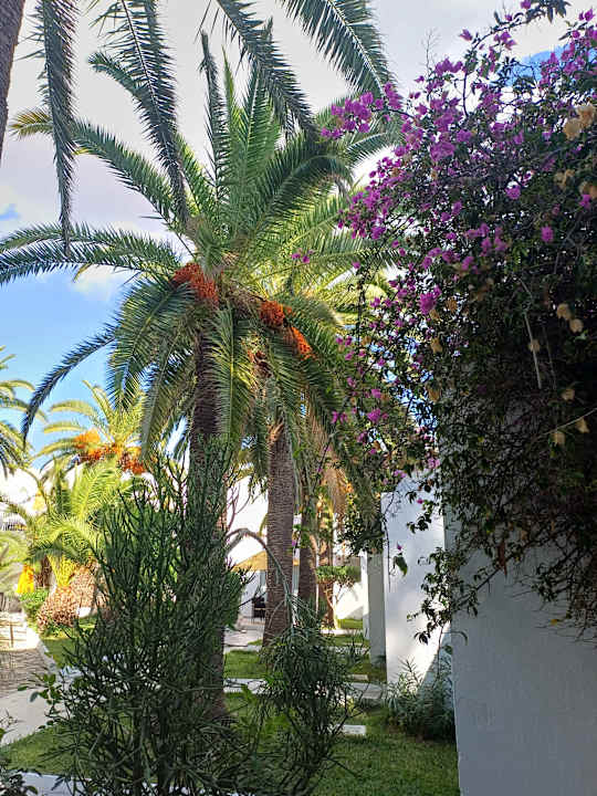 Außenansicht The Sindbad