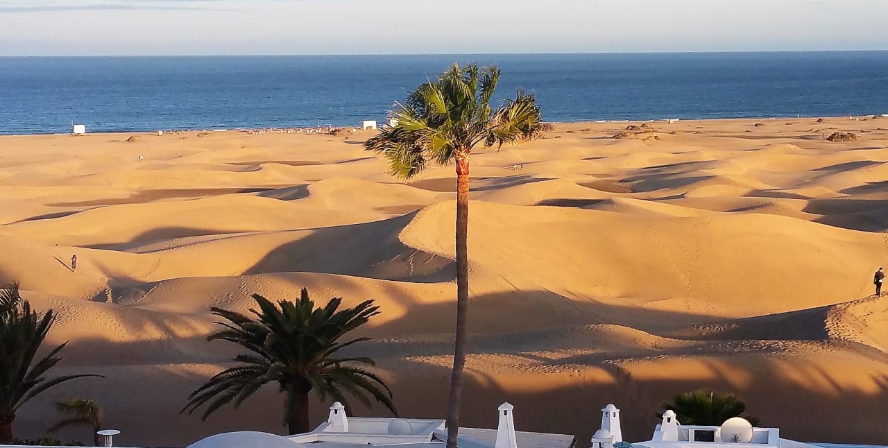 Ausblick Hotel Riu Palace Maspalomas Adults Only