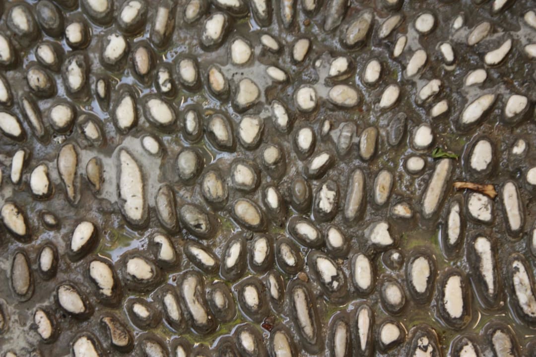 Bodenbelag Alp Pasa Hotel - Special Class