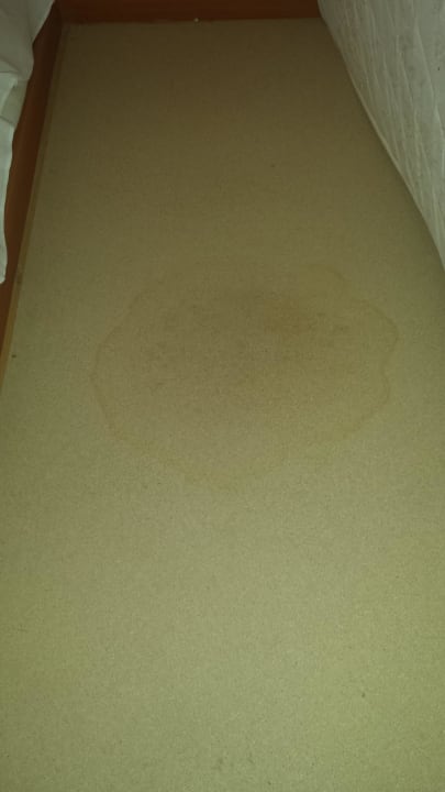 Mein bett Hotel Pliska