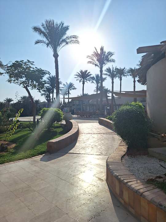 Gartenanlage Iberotel Makadi Beach