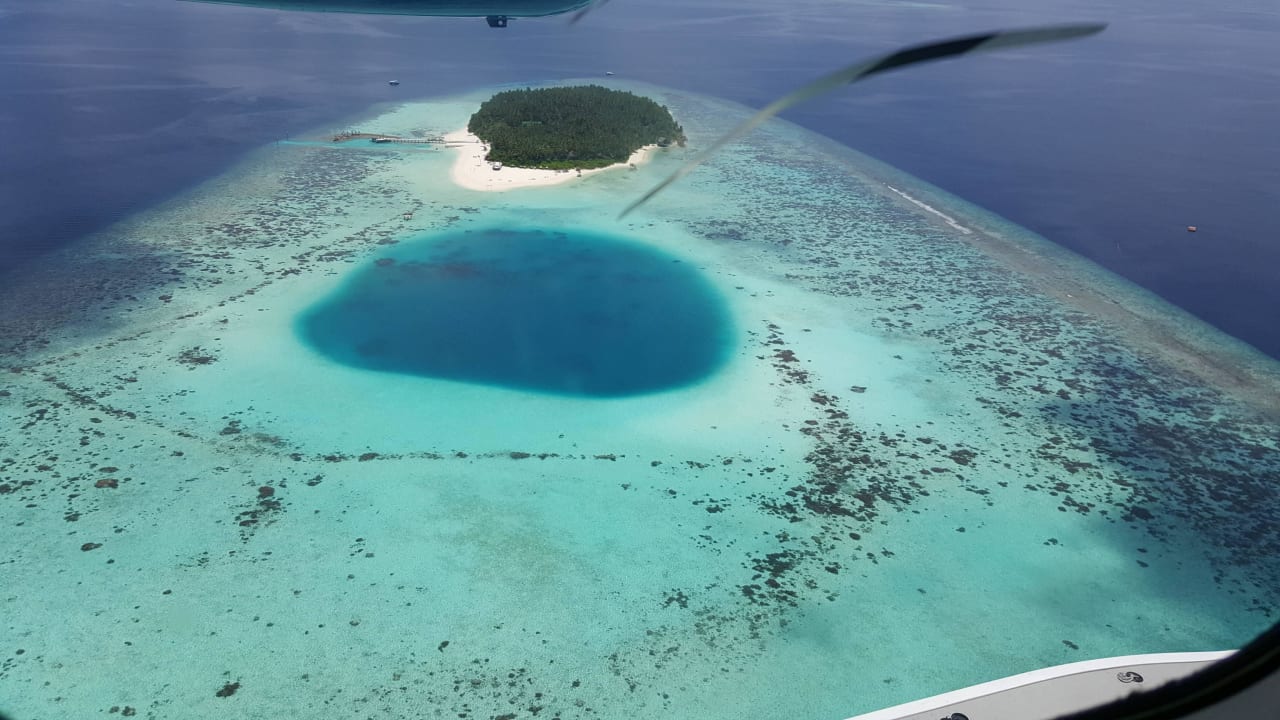 Im Anflug aaaVeee Nature's Paradise