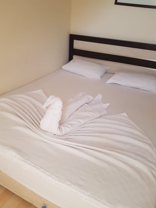 Zimmer Hotel Orfeus Park