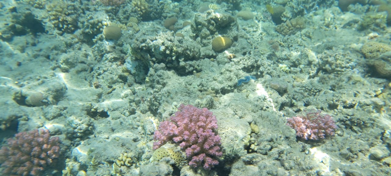 Strand Grand Waterworld Makadi & Family Star Makadi