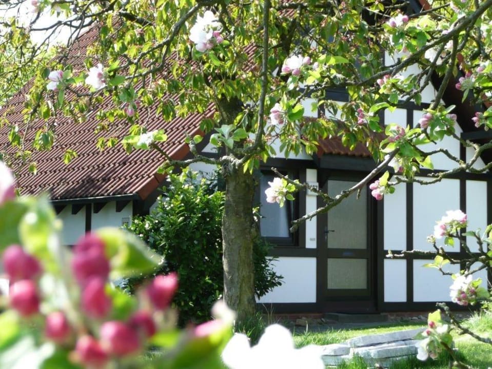 Deichgraf 86 Feriendorf Altes Land