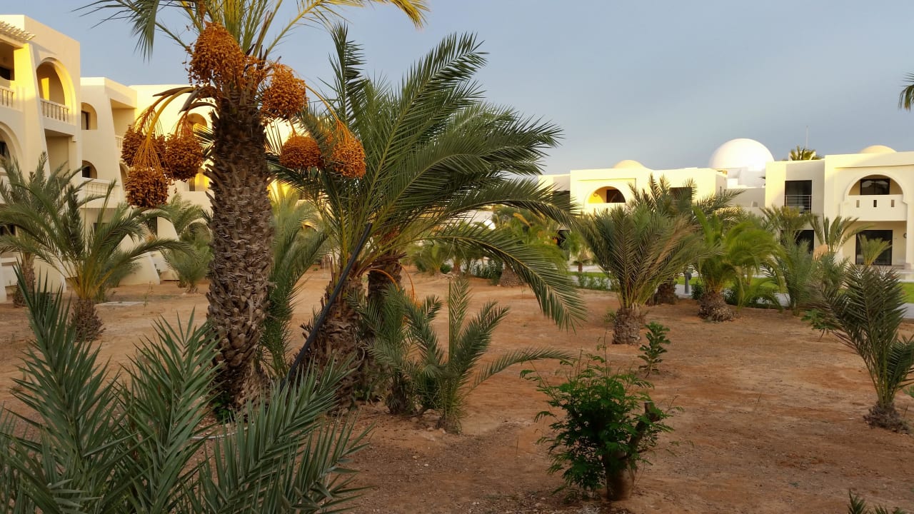 Ausblick Zimmer Djerba Aqua Resort
