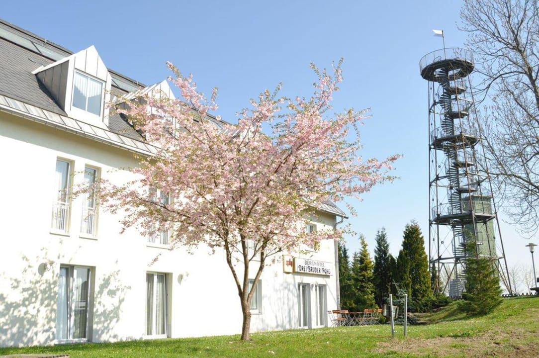 Hotel und Aussichtsturm Teich 2 Berghotel  Berghotel Drei Brüder Höhe