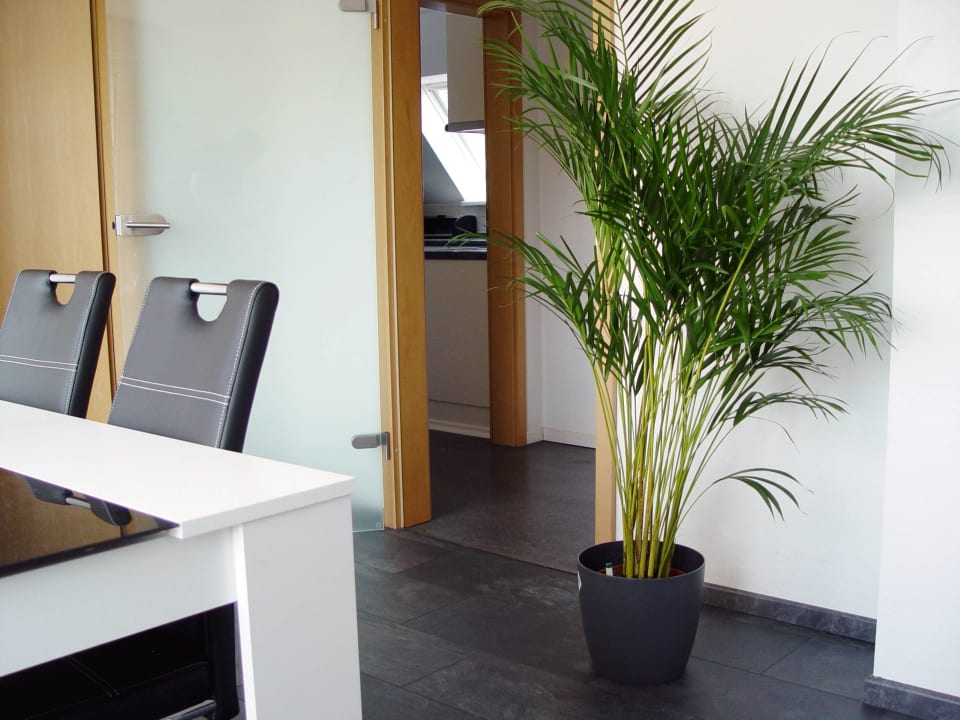 Zimmer La Domus Premium