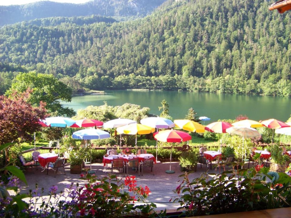 Gartenterrasse Pension Hubertus