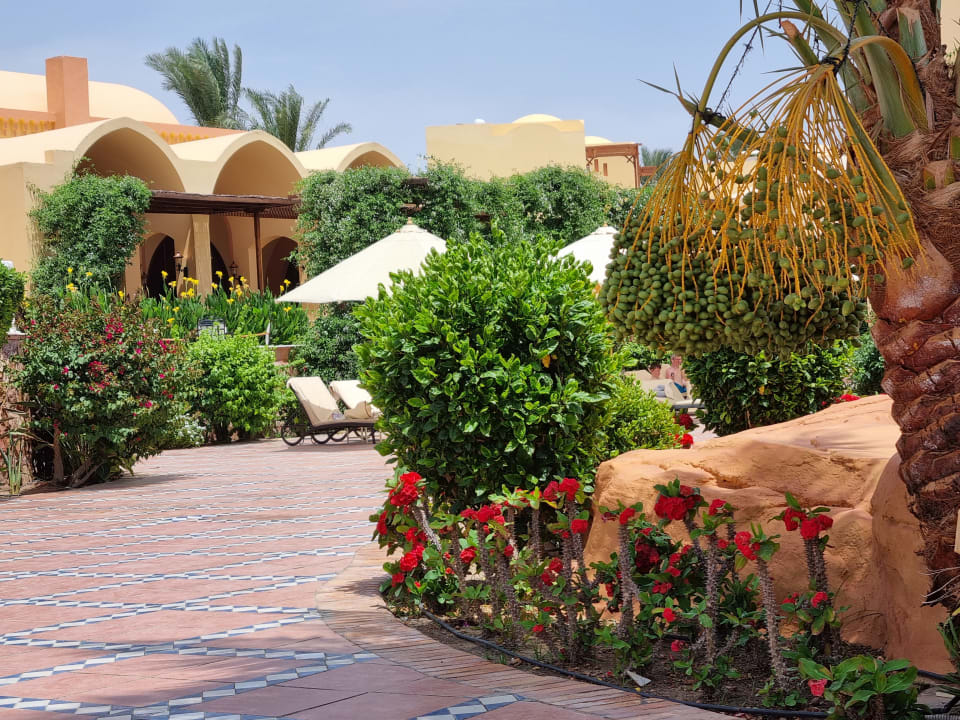 Gartenanlage Steigenberger Coraya Beach - Adults only