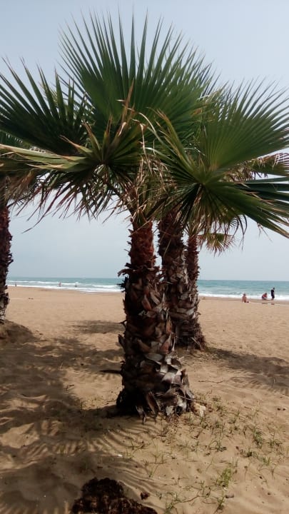 Strand Club Grand Side