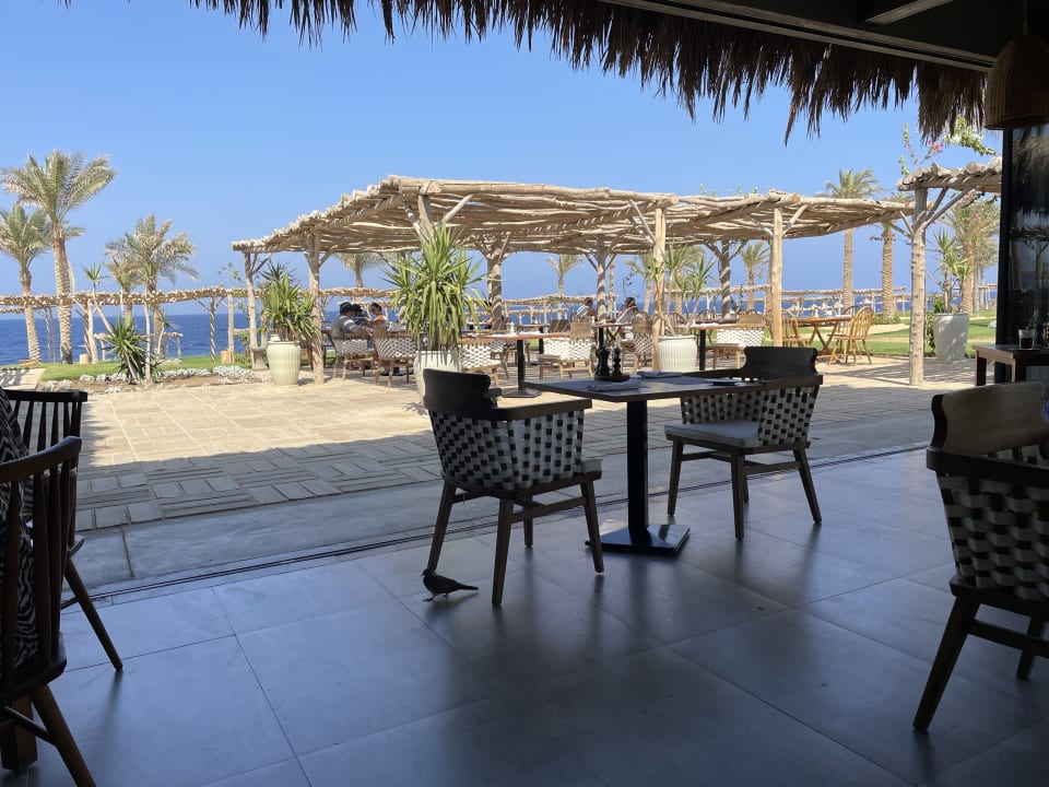 Gastro Steigenberger Resort Alaya Marsa Alam - Red Sea - Adults only