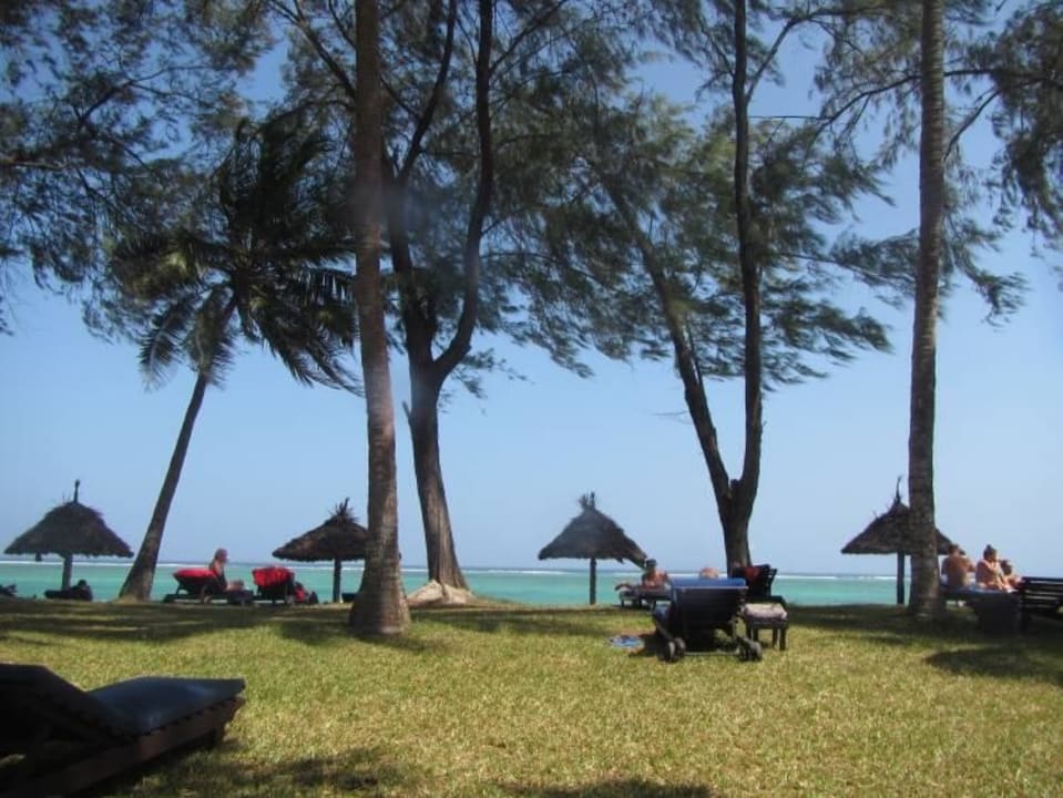 Garten mit Liegen Hotel Diani Sea Lodge