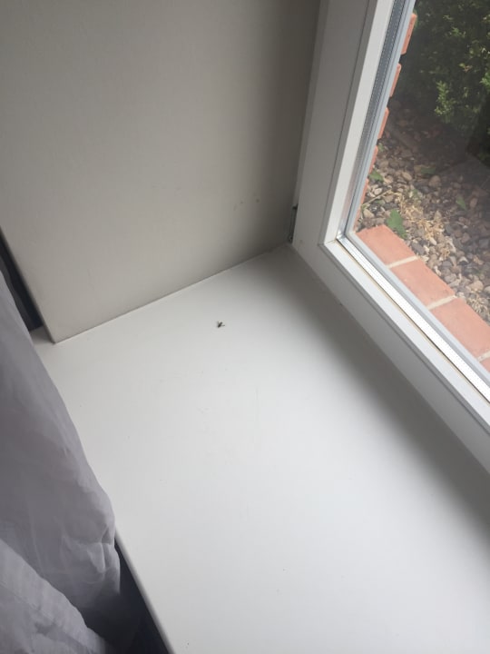 Zimmer Schlosshotel Basthorst