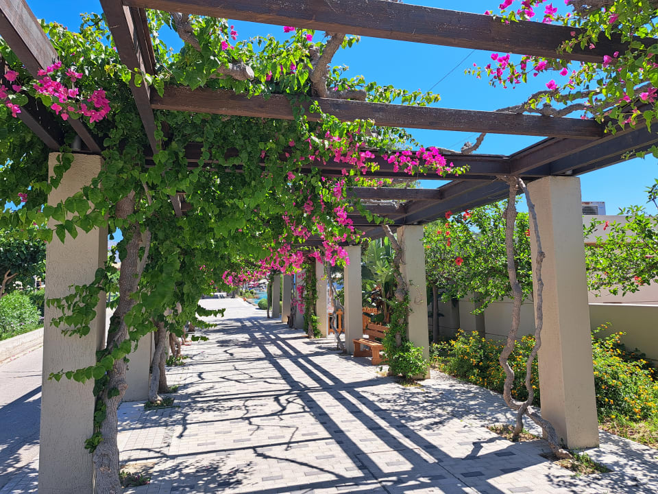 Gartenanlage Astir Odysseus Kos Resort & Spa
