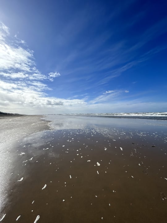 Strand Roompot Zandvoort