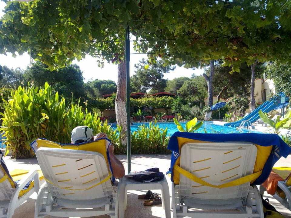 Blick auf den Pool Hotel Mari