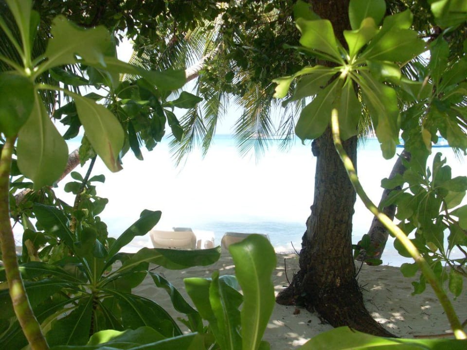 Lagune Kuramathi Maldives