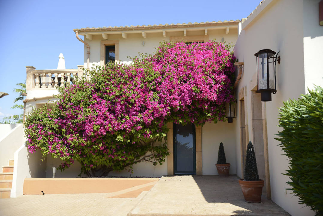 Impressionen Finca Amapola - Agrotourismus Hotel