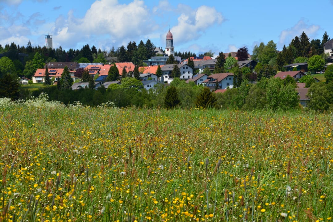Blick aufs Dorf…. Portens Fernblick