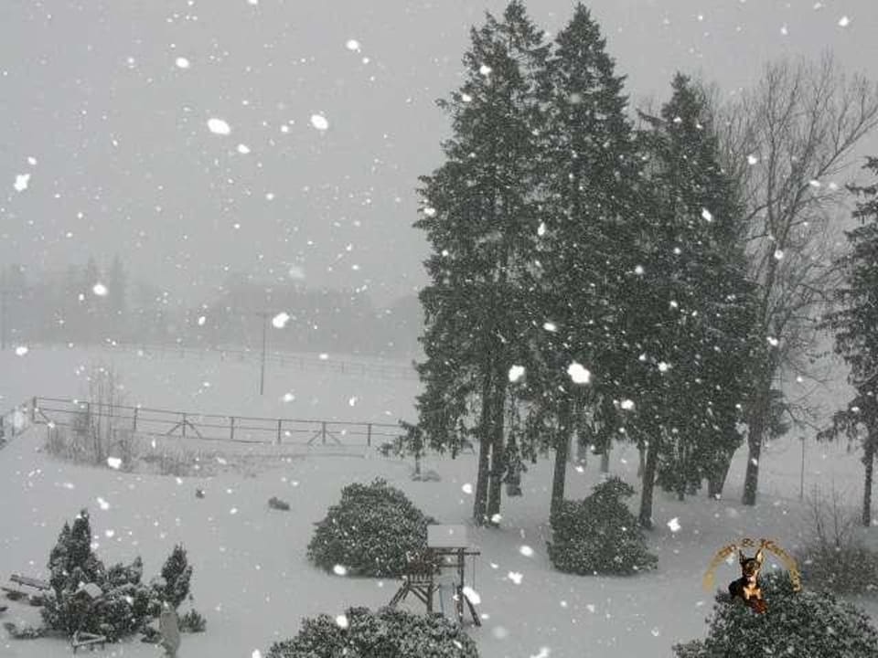 Ausblick aus Zimmer 212 Hotel Harzhaus