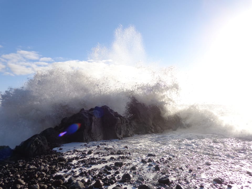 Das Meer am Hotel Hotel Orca Praia