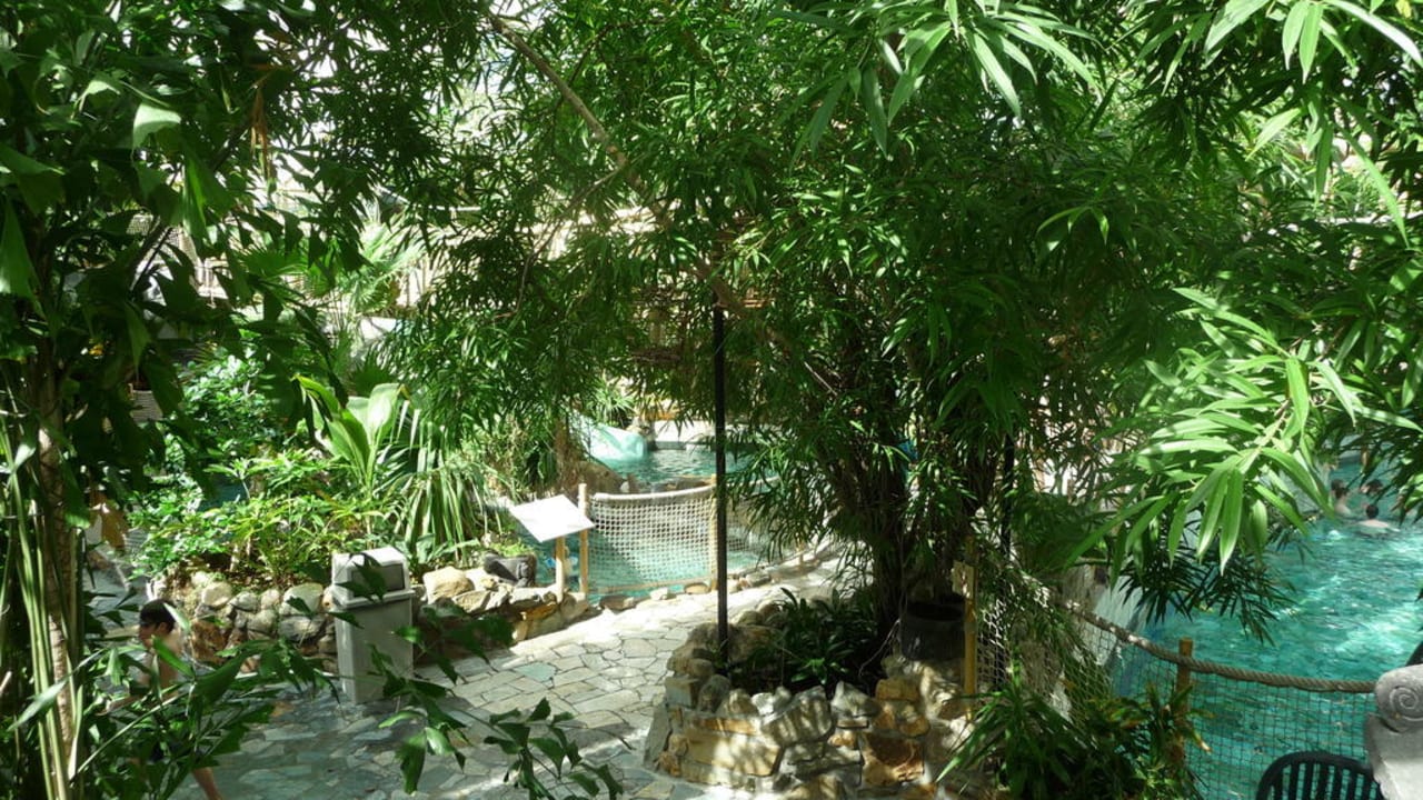 Zwembad Center Parcs De Eemhof