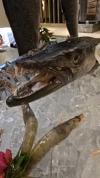 Gastro JAZ Elite Casa del Mar Beach