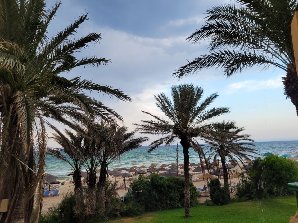 Ausblick El Ksar Resort & Thalasso