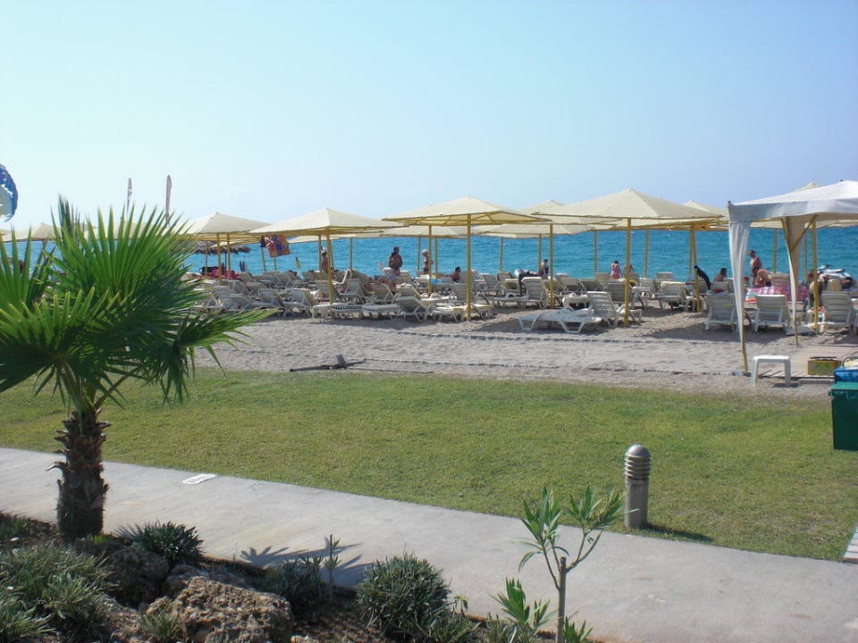 Blick auf den Strand Selectum Family Comfort Side