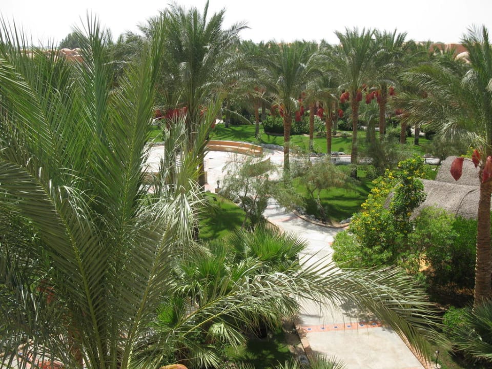 Hotelgarten Jaz Makadi Oasis Resort
