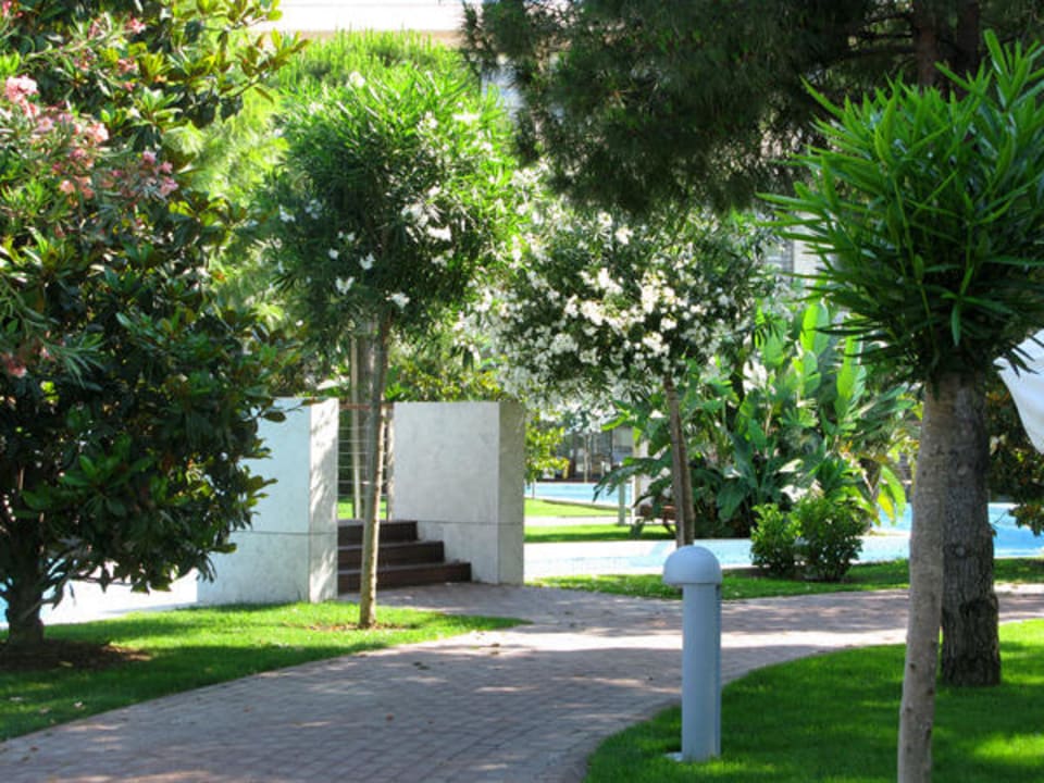 Сад Gloria Serenity Resort