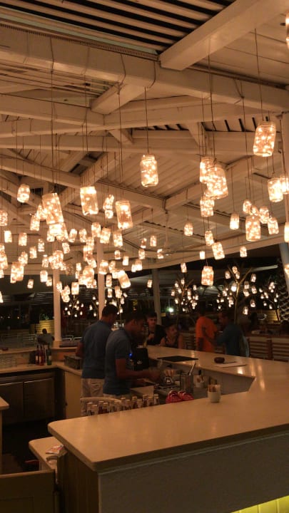 Gartenanlage Desert Rose