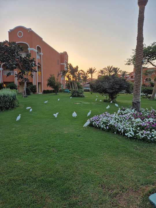Sport & Freizeit Sentido Caribbean World Soma Bay