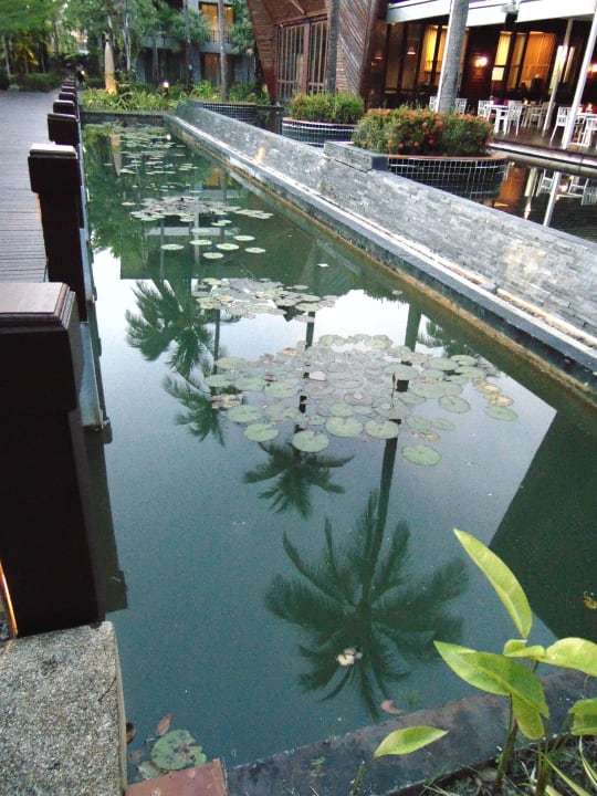 Gartenanlage Graceland Khao Lak Beach Resort
