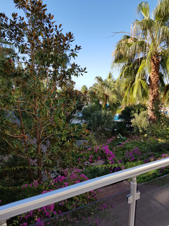 Ausblick Seaden Sea World Resort & Spa