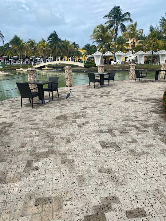 Ausblick Melia Las Antillas - Adults only