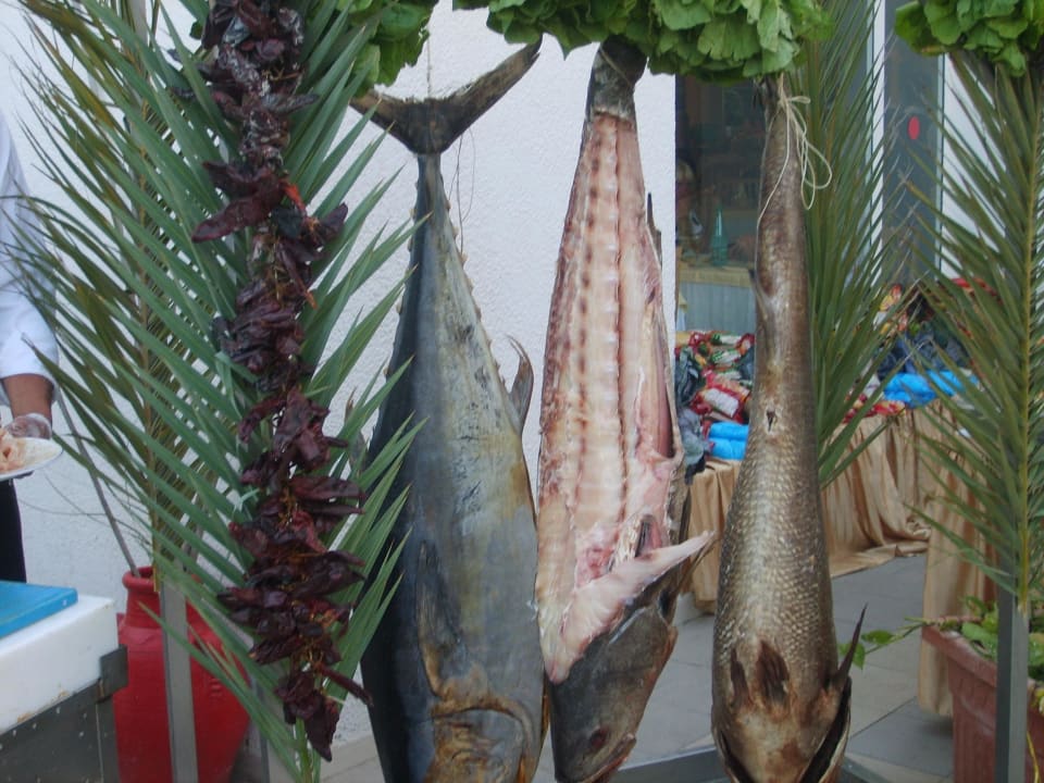 Fischabend Hotel El Mouradi Djerba Menzel