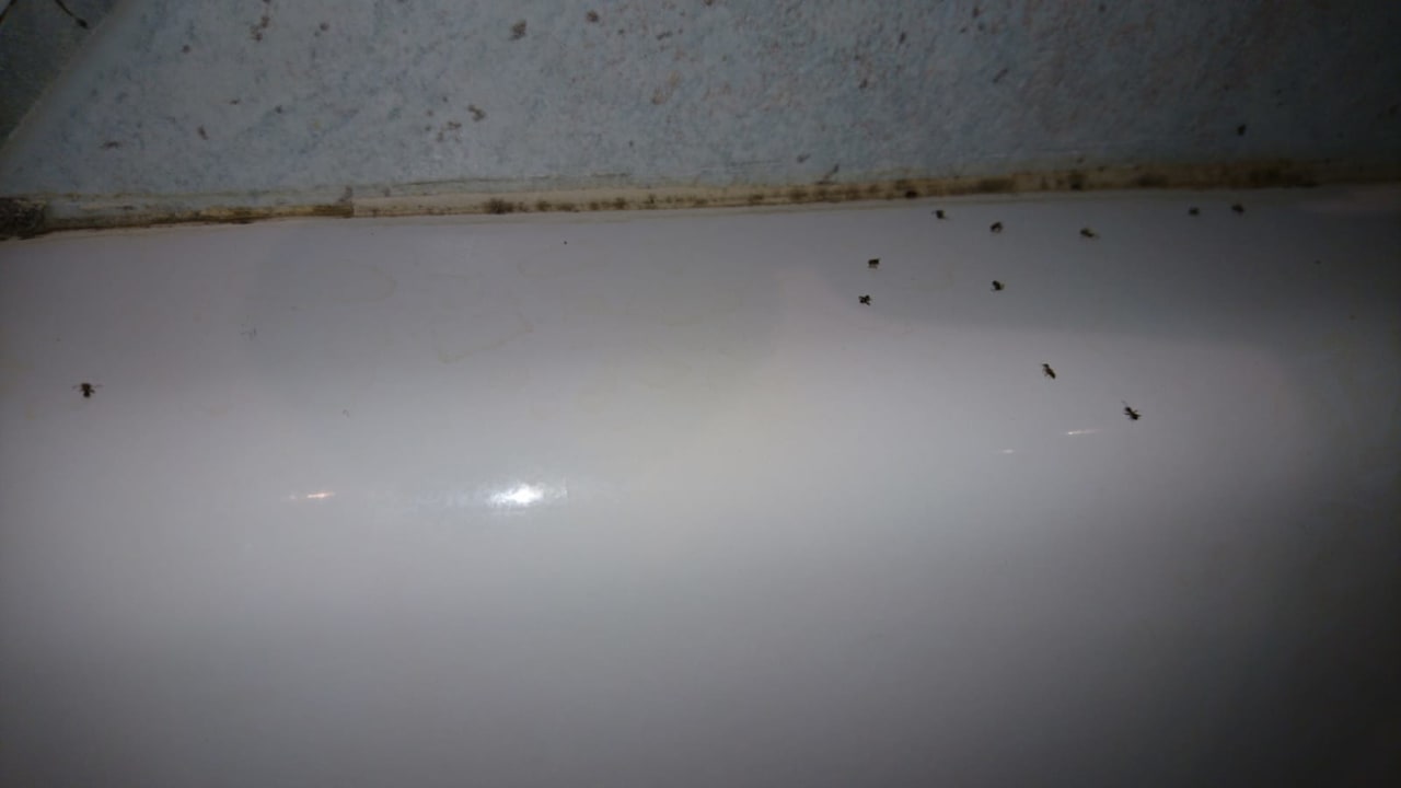 Zimmer Mitsis Rodos Village