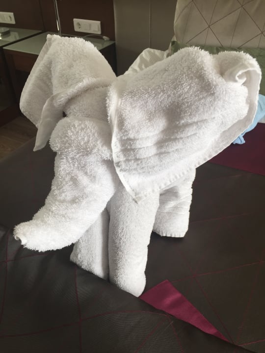 Zimmer Side Star Elegance