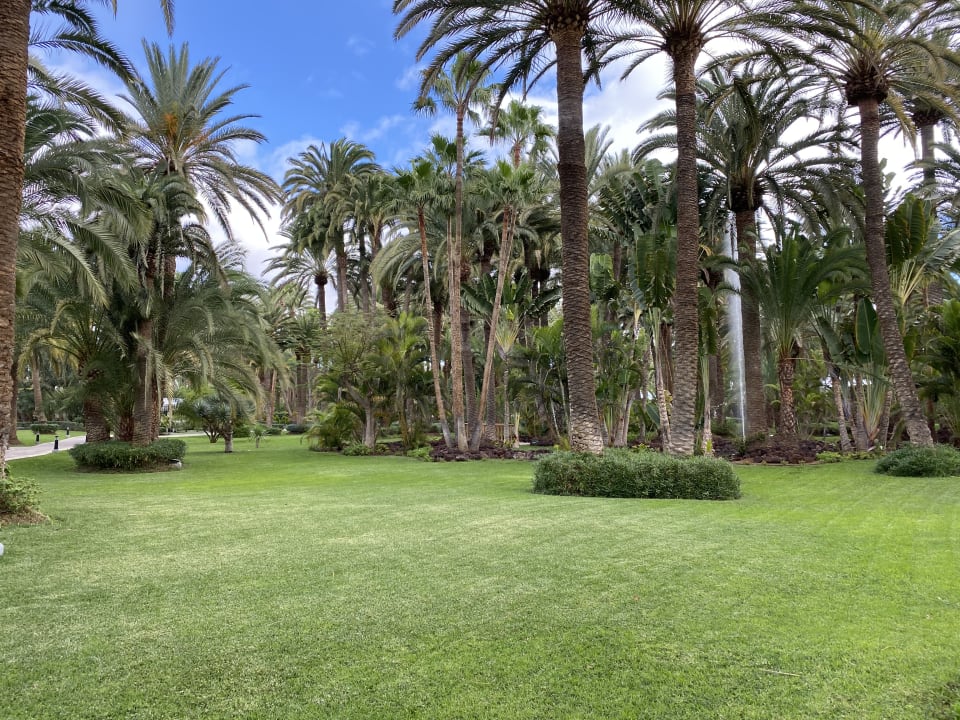 Gartenanlage Hotel Riu Palace Oasis