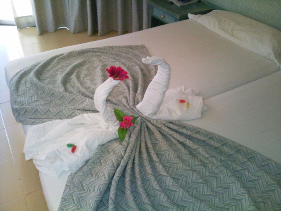 Tiere im Bett  SBH Costa Calma Beach Resort