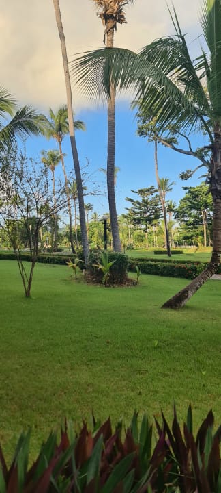 Ausblick Wyndham Alltra Samana