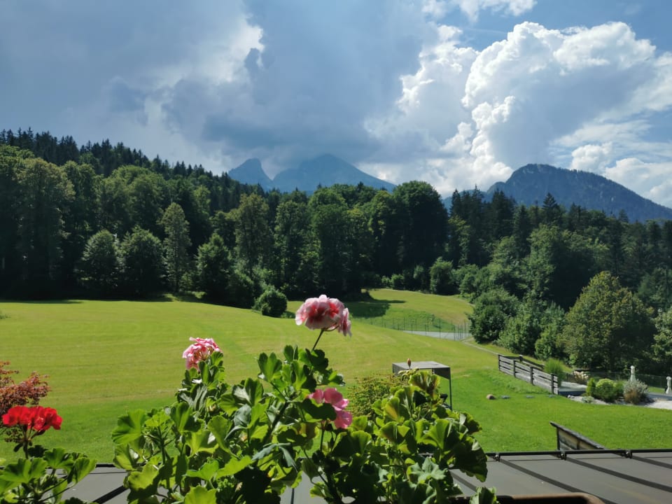Ausblick Alm- & Wellnesshotel Alpenhof