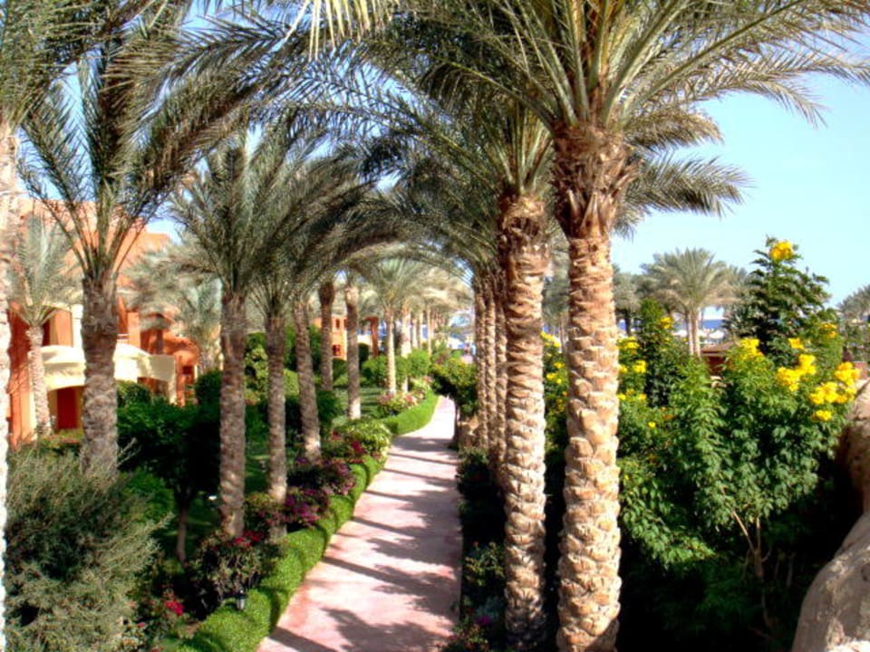 Luty 2012 Sharm Grand Plaza Resort