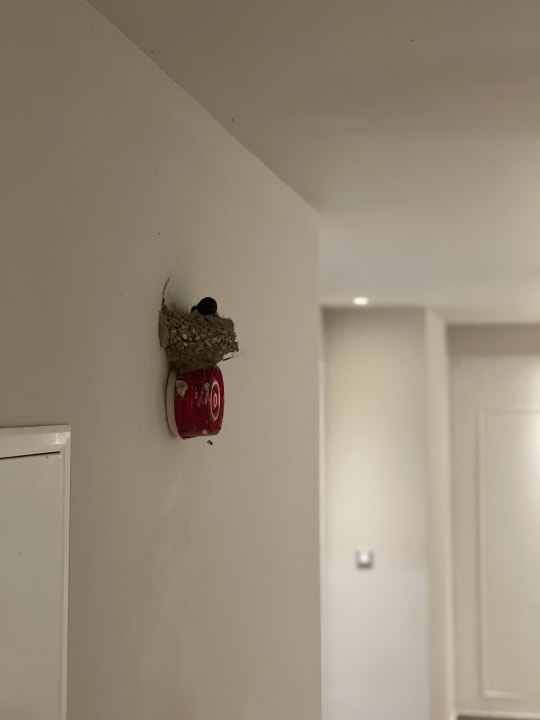 Sonstiges Rodos Princess Beach Hotel & Spa