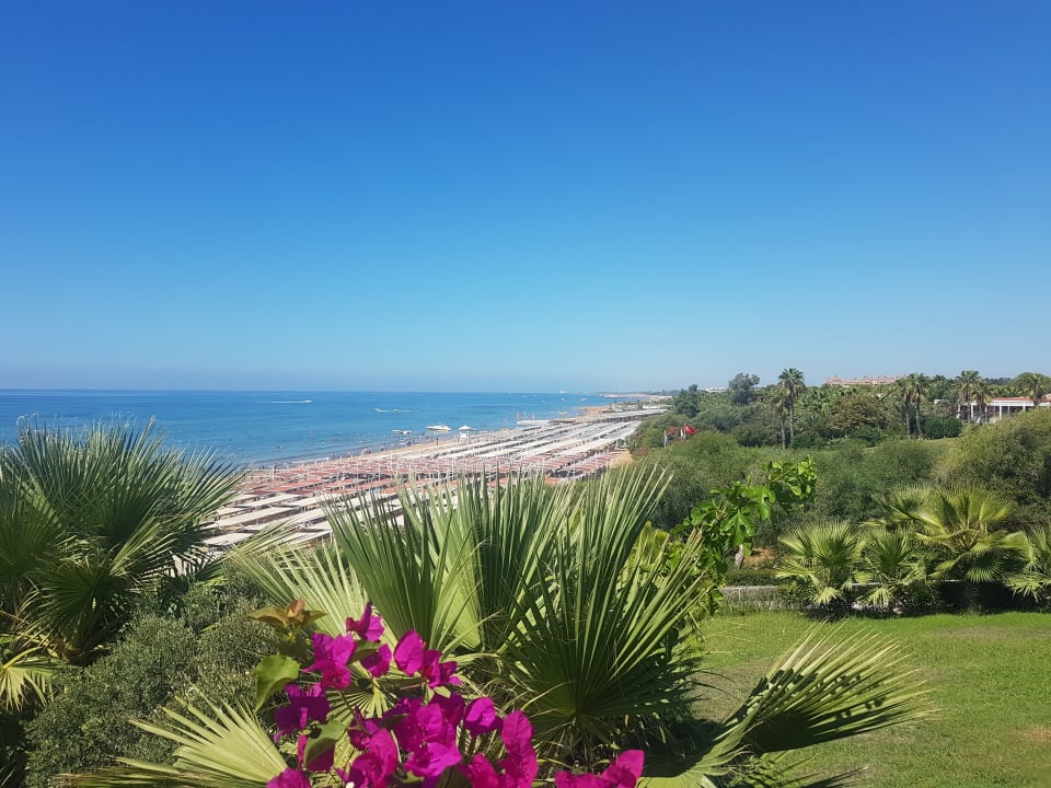 Ausblick Can Garden Resort