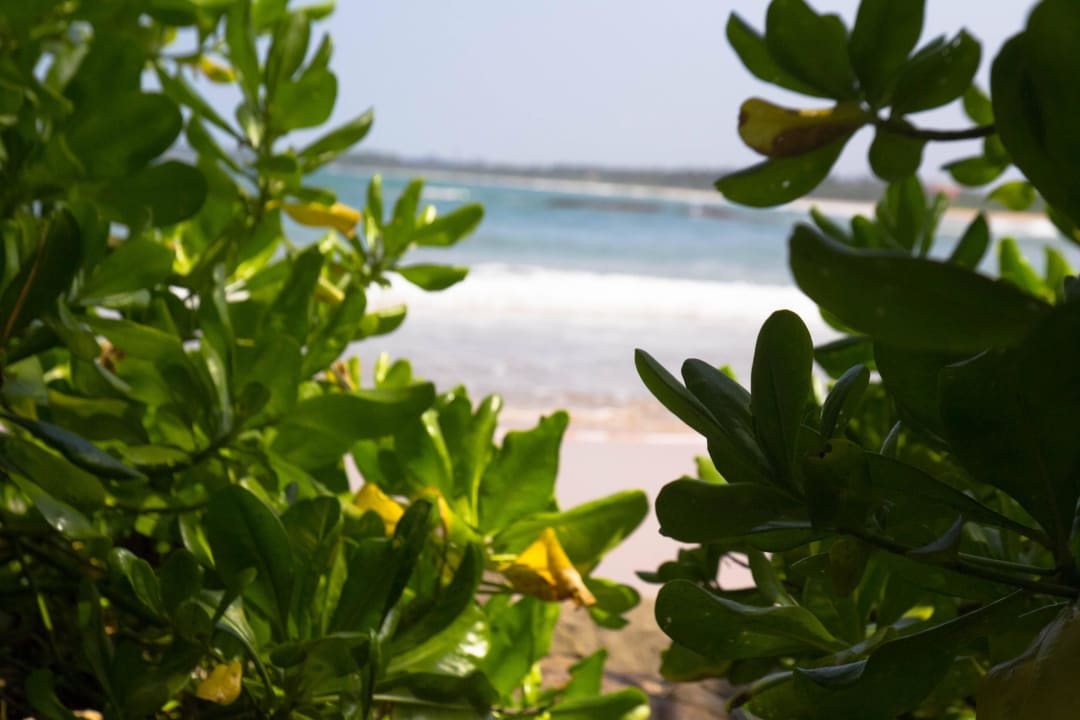 Strandansicht Taj Bentota Resort & Spa